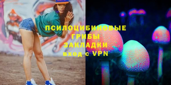 дживик Гусев