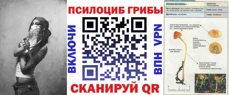 Псилоцибиновые грибы Magic Shrooms  Купить закладки  Шенкурск 